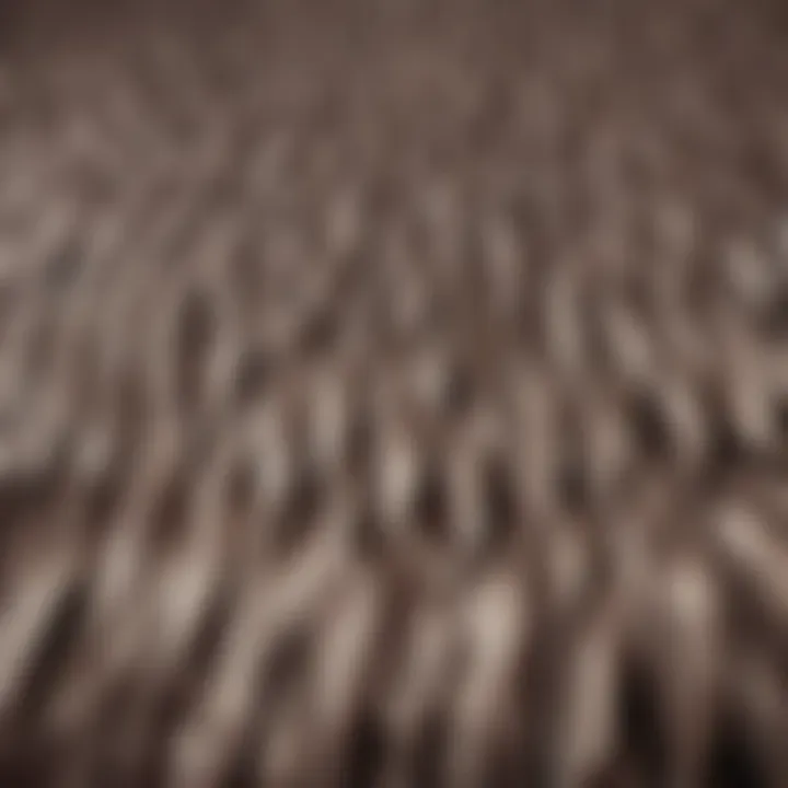 Close-up of fabric texture showcasing pleats